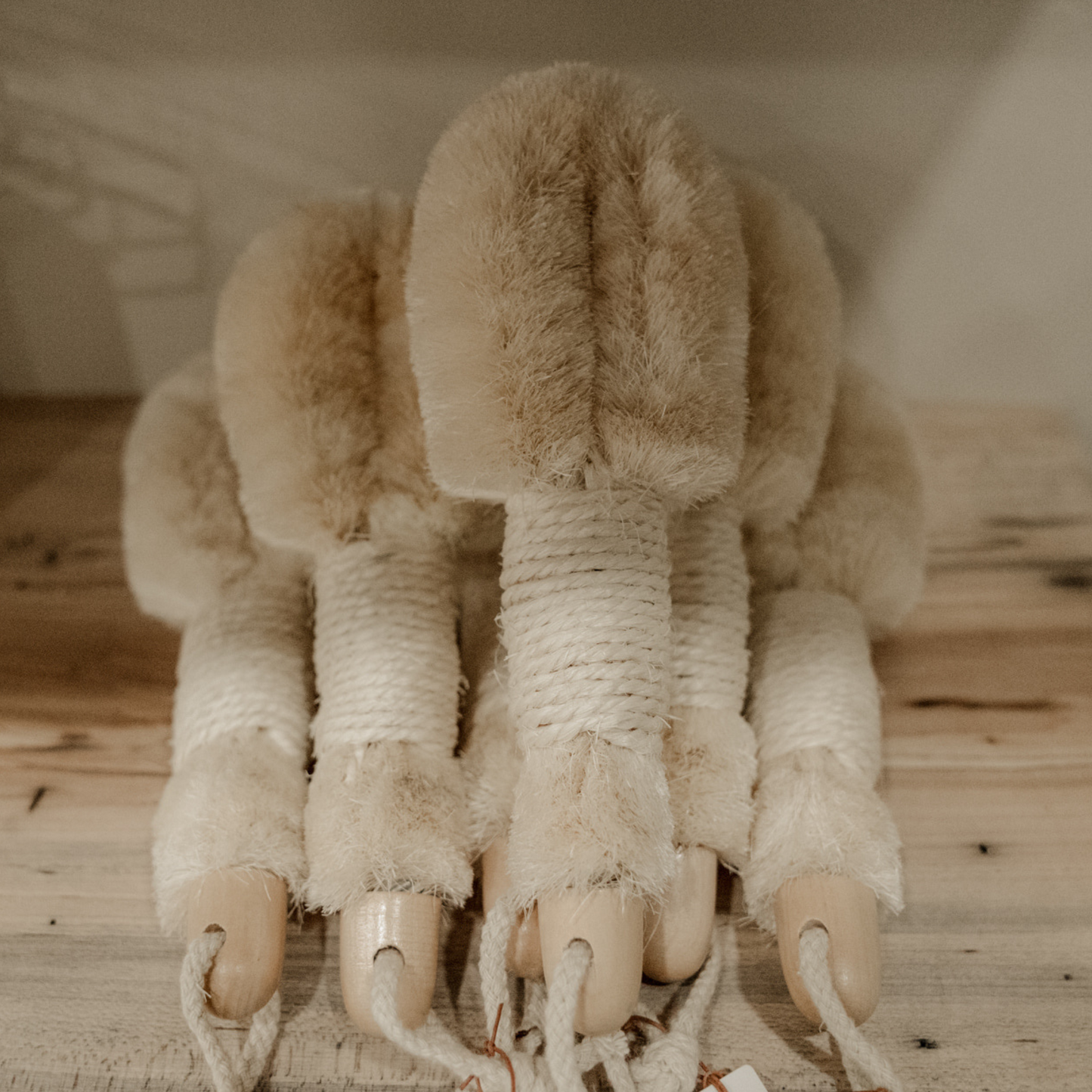 Dry Body Brush