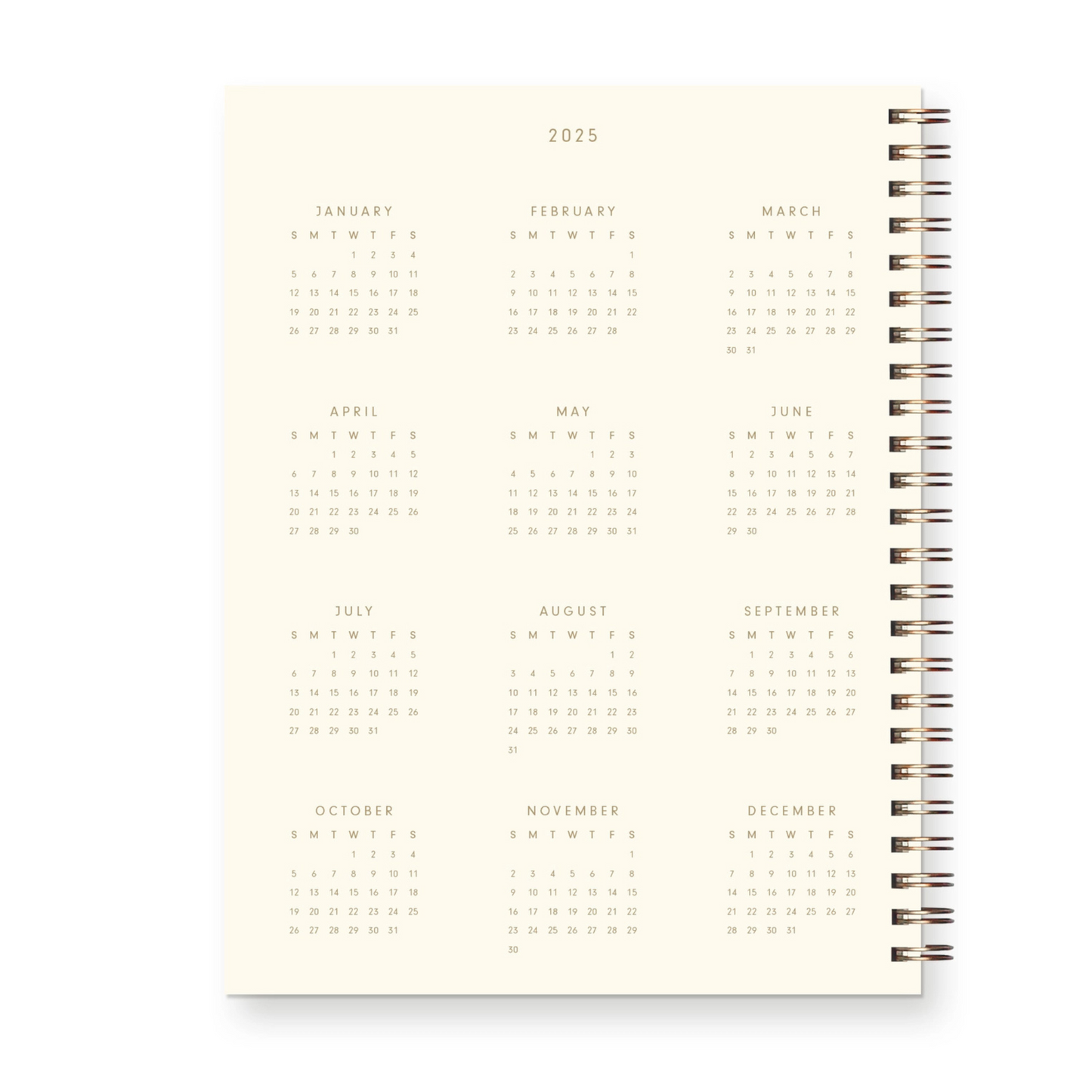 2025 Planner (3 Color Options)