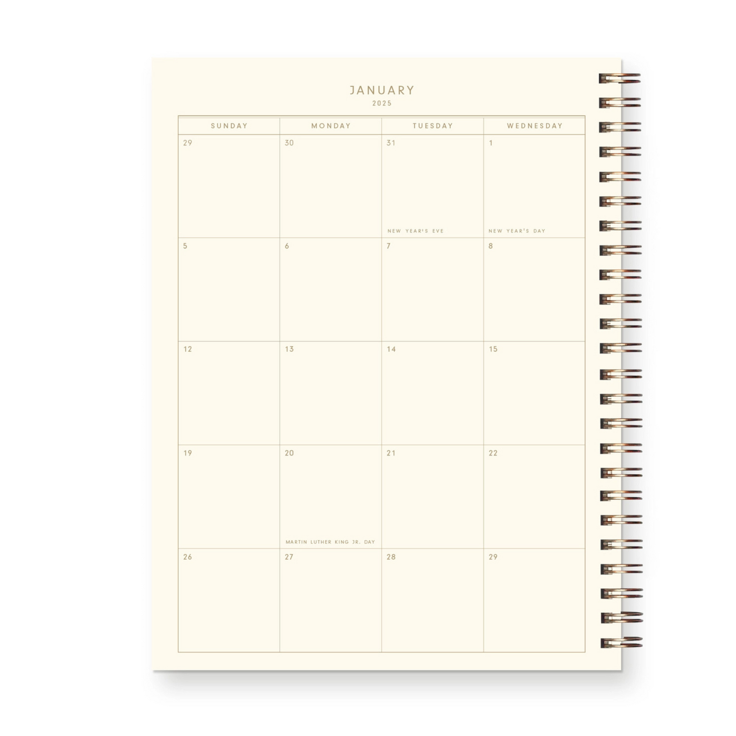 2025 Planner (3 Color Options)