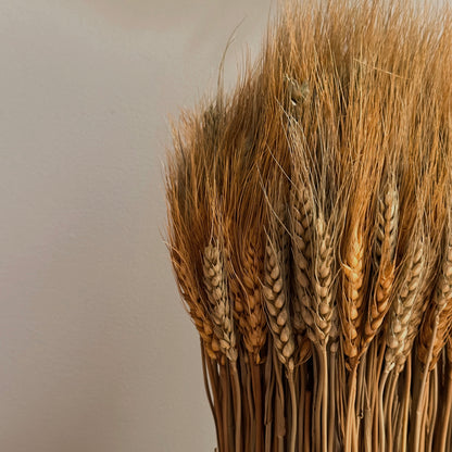 Self-Standing Dried Wheat Sheaf Harvest Bundle