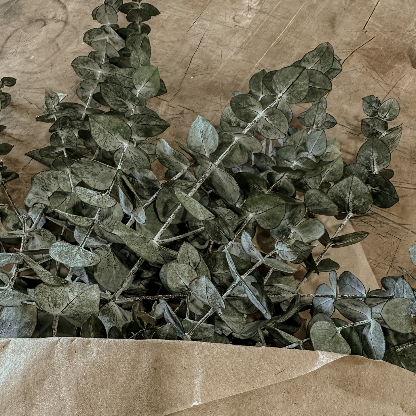 Natural Eucalyptus Bouquet