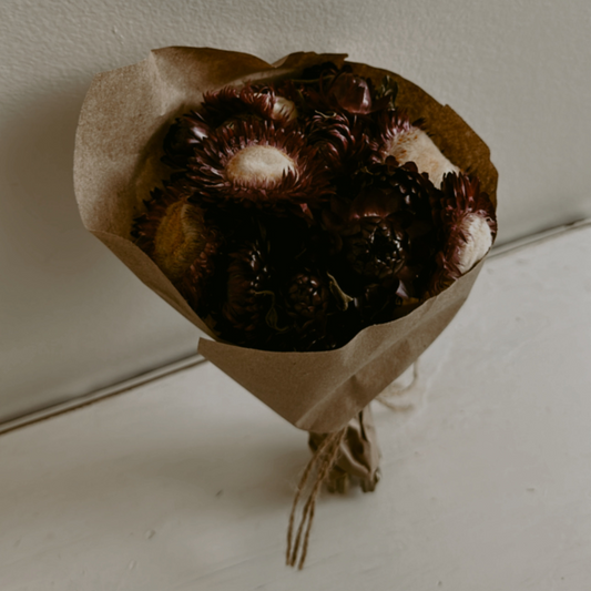 Mini Strawflower Bouquet in Merlot