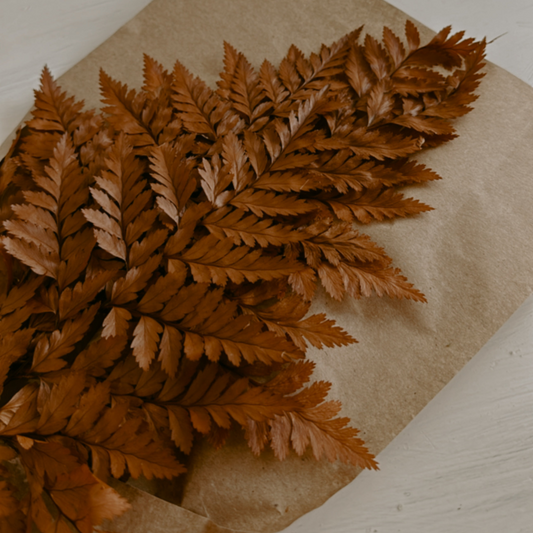 Preserved Mahogany Fern Bouquet